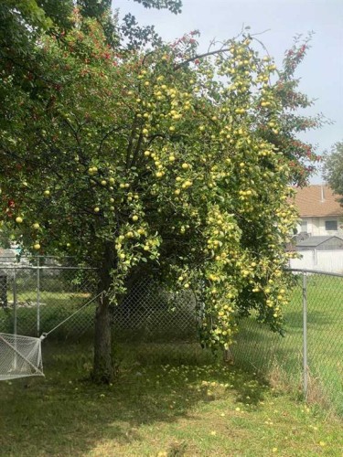 7607 Michealis Boulevard, Grande Prairie, AB - Outdoor