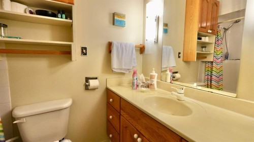 11113 103 Street, Peace River, AB - Indoor Photo Showing Bathroom