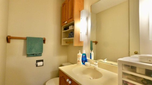 11113 103 Street, Peace River, AB - Indoor Photo Showing Bathroom