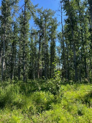 - Nw 32-70-9-W6, Beaverlodge, AB 