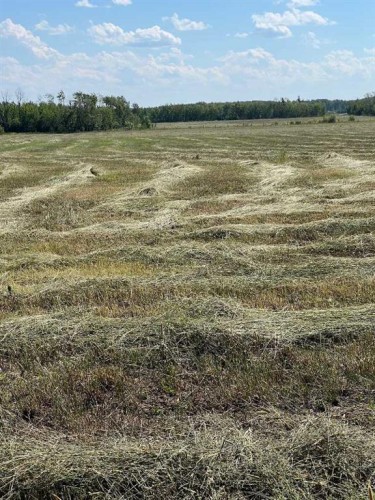 - Nw 32-70-9-W6, Beaverlodge, AB 