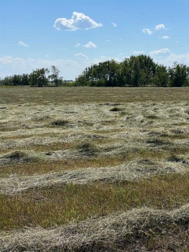 - Nw 32-70-9-W6, Beaverlodge, AB 