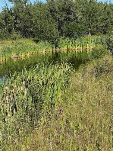 - Nw 32-70-9-W6, Beaverlodge, AB 