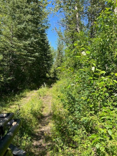 - Nw 32-70-9-W6, Beaverlodge, AB 