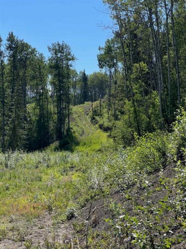 - Nw 32-70-9-W6, Beaverlodge, AB 