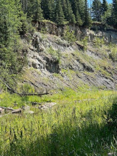 - Nw 32-70-9-W6, Beaverlodge, AB 