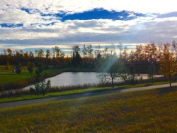 On 106 Street  Grande Prairie, AB T0H 0H0