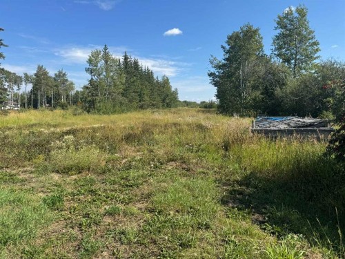 235037 Township Road 844, Rural Northern Lights, County Of, AB - Outdoor With View