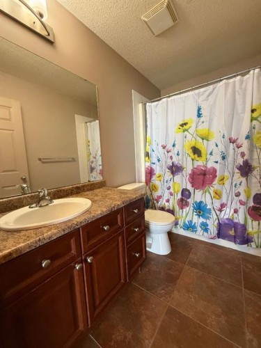 81 Peace River Avenue, Joussard, AB - Indoor Photo Showing Bathroom