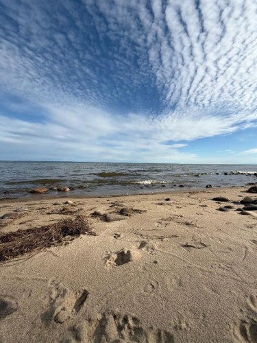 81 Peace River Avenue, Joussard, AB - Outdoor With View
