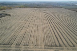 SW 28 71 10 W6 TWP 714  Beaverlodge, AB T0H 3C0