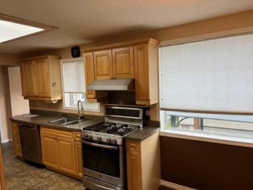 103 3Rd Avenue, North Star, AB - Indoor Photo Showing Kitchen With Double Sink