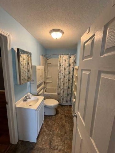 103 3Rd Avenue, North Star, AB - Indoor Photo Showing Bathroom