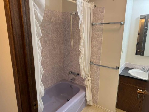 8005 94 Street, Peace River, AB - Indoor Photo Showing Bathroom