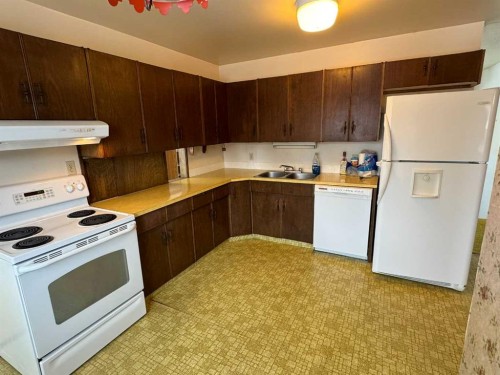 8005 94 Street, Peace River, AB - Indoor Photo Showing Kitchen With Double Sink