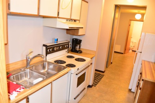 101-215-10118 100 Avenue, Peace River, AB - Indoor Photo Showing Kitchen With Double Sink