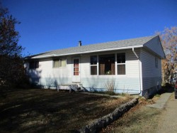 220 2nd Avenue SW Manning, AB T0H 2M0