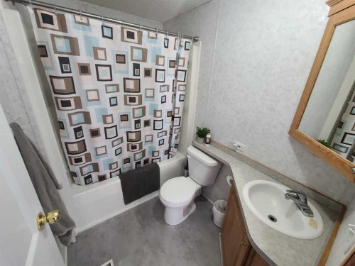 5216 46 Street, Grimshaw, AB - Indoor Photo Showing Bathroom