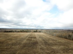 NE;19;72;9;W6 ,  Beaverlodge, AB T0H 0C0