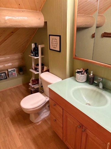 21317-669 Highway, Rural Greenview No. 16, M.D. Of, AB - Indoor Photo Showing Bathroom