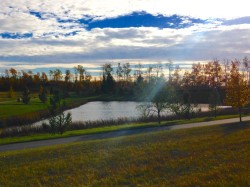 On 106 Street  Grande Prairie, AB T0H 0H0