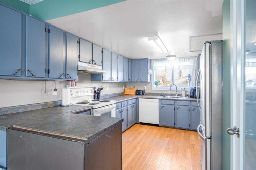 4603 55 Street, Rycroft, AB - Indoor Photo Showing Kitchen With Double Sink
