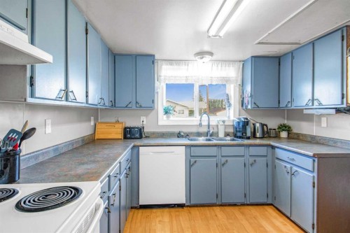 4603 55 Street, Rycroft, AB - Indoor Photo Showing Kitchen With Double Sink