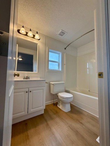 10409 110 Ave, La Crete, AB - Indoor Photo Showing Bathroom