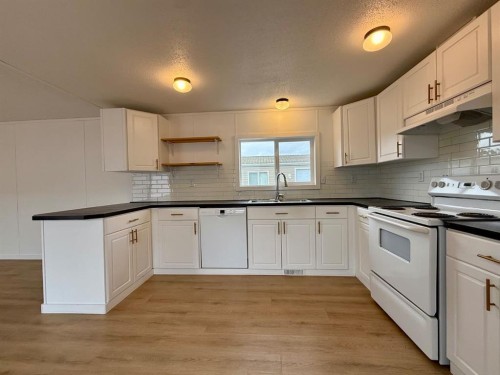 10409 110 Ave, La Crete, AB - Indoor Photo Showing Kitchen With Double Sink