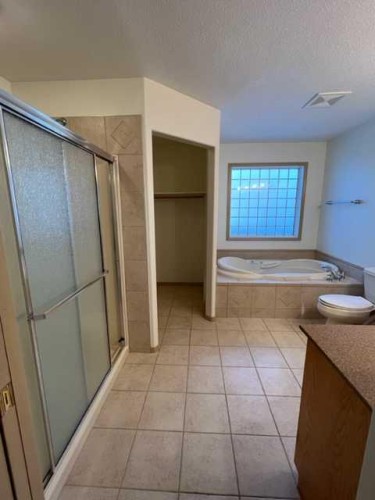 2 Chonkolay Drive, High Level, AB - Indoor Photo Showing Bathroom