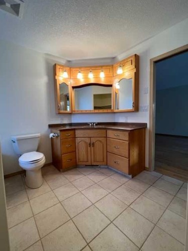 2 Chonkolay Drive, High Level, AB - Indoor Photo Showing Bathroom