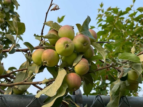 4910 53 Street, Grimshaw, AB - Outdoor With View