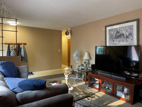4910 53 Street, Grimshaw, AB - Indoor Photo Showing Living Room