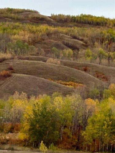 7421 98B Street, Peace River, AB - Outdoor With View