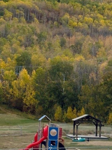 7421 98B Street, Peace River, AB - Outdoor With View