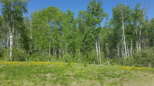 Weberville Road, Rural Northern Lights, County Of, AB 