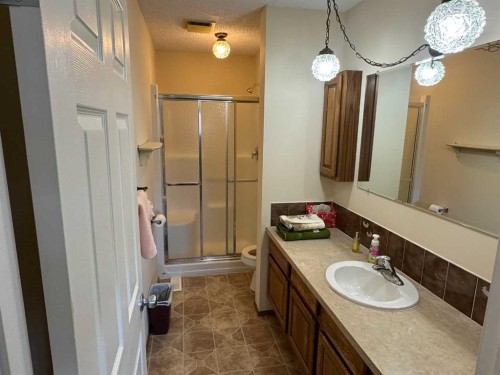 7305 96 Street, Peace River, AB - Indoor Photo Showing Bathroom