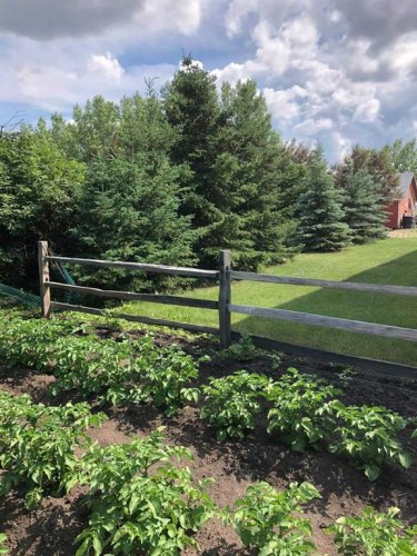 241023 Hwy 2, Rural Peace No. 135, M.D. Of, AB - Outdoor With View