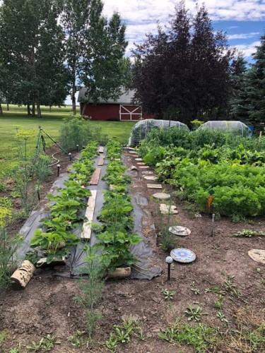 241023 Hwy 2, Rural Peace No. 135, M.D. Of, AB - Outdoor