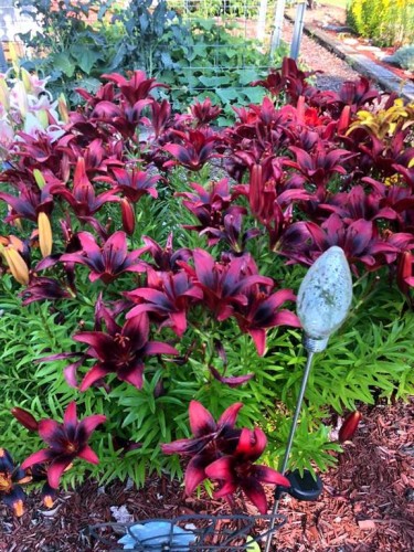 241023 Hwy 2, Rural Peace No. 135, M.D. Of, AB - Outdoor