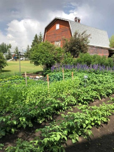 241023 Hwy 2, Rural Peace No. 135, M.D. Of, AB - Outdoor