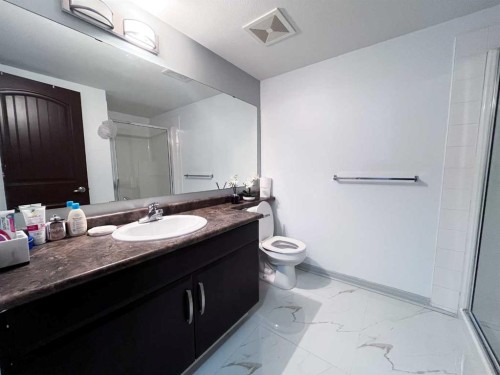 401-9120 96 Avenue, Grande Prairie, AB - Indoor Photo Showing Bathroom