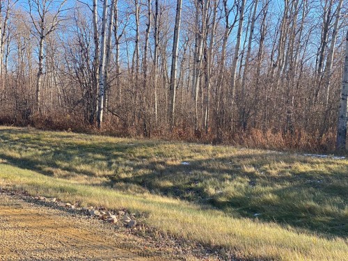 223 Range, Rural Northern Lights, County Of, AB 