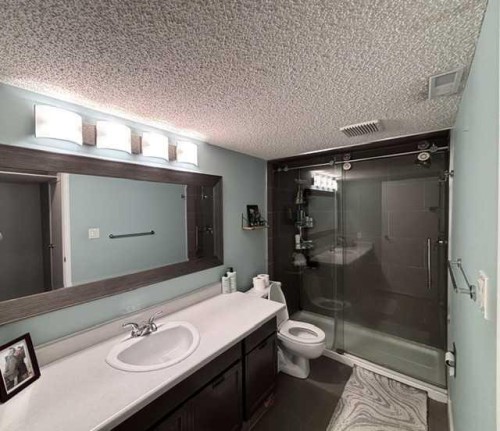 8210 104 Avenue, Peace River, AB - Indoor Photo Showing Bathroom