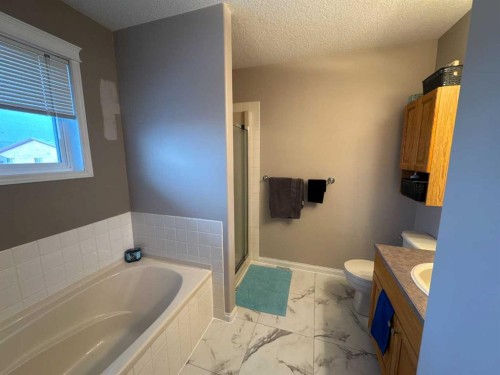 12010 105 Street, Grande Prairie, AB - Indoor Photo Showing Bathroom