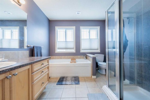 8905 Lakeland Drive, Grande Prairie, AB - Indoor Photo Showing Bathroom