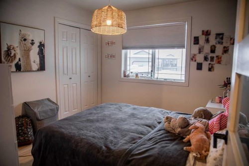 4 Black Spruce Drive, High Level, AB - Indoor Photo Showing Bedroom