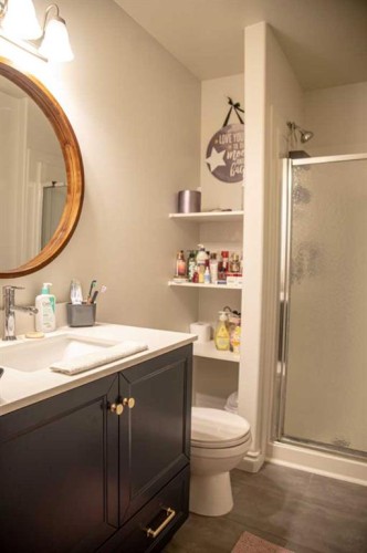 4 Black Spruce Drive, High Level, AB - Indoor Photo Showing Bathroom