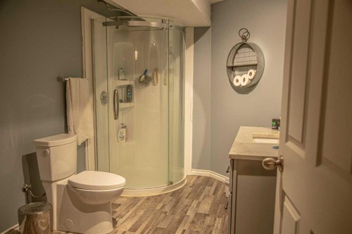 4 Black Spruce Drive, High Level, AB - Indoor Photo Showing Bathroom