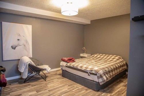 4 Black Spruce Drive, High Level, AB - Indoor Photo Showing Bedroom